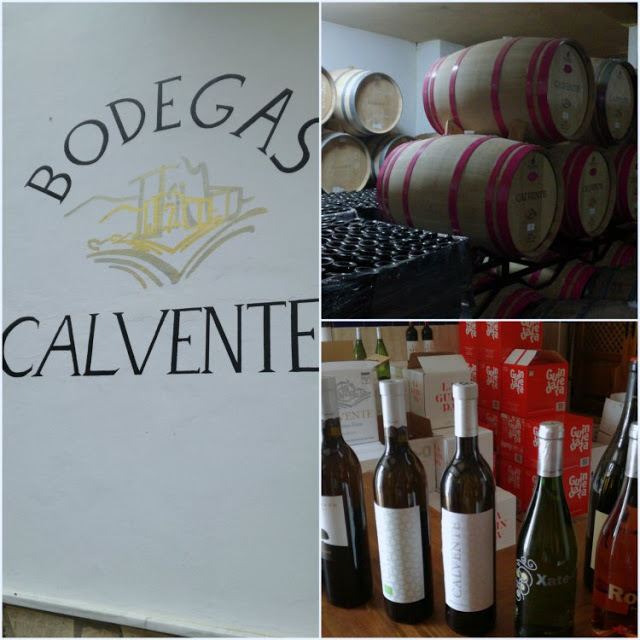 BLOGTRIP COSTA TROPICAL GRANADA BODEGAS CALVENTE TERERECETAS