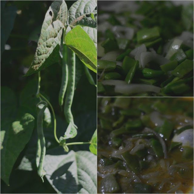 Maravillosa tortilla de judías verdes y cebollas tererecetas 02 Maravillosa tortilla de judías verdes y cebollas 02