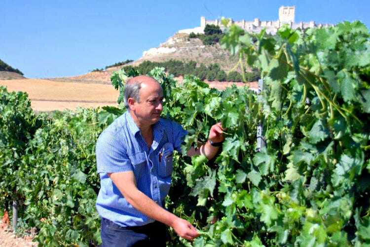 Peñafalcon Casimiro 