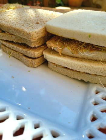 Sándwiches de verano, la mejor opción para una comida ligera