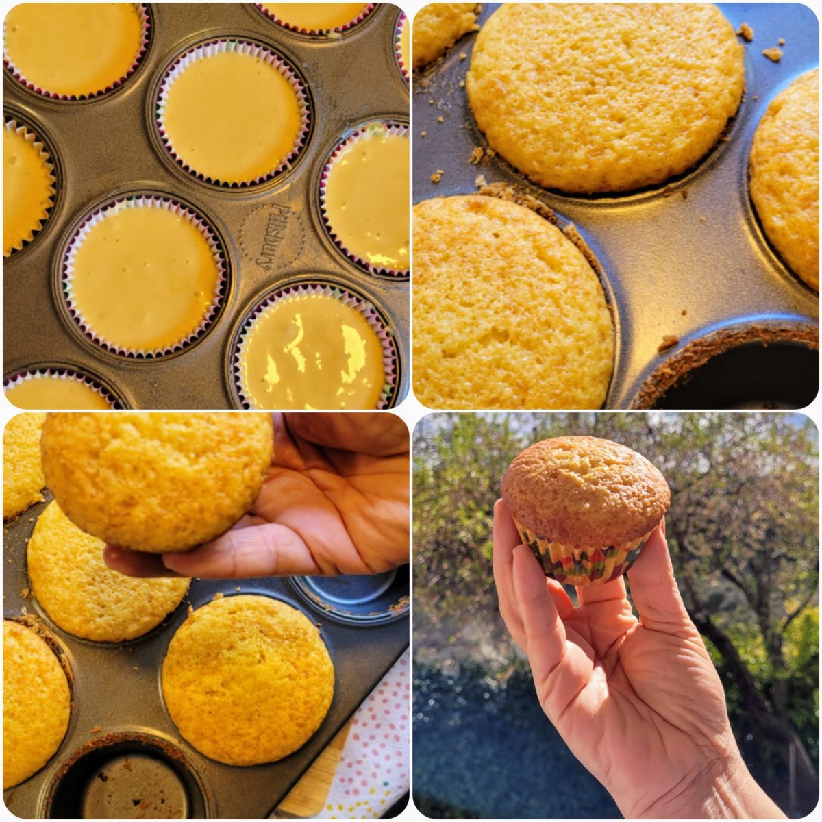 Receta de Magdalenas caseras Receta de Magdalenas caseras