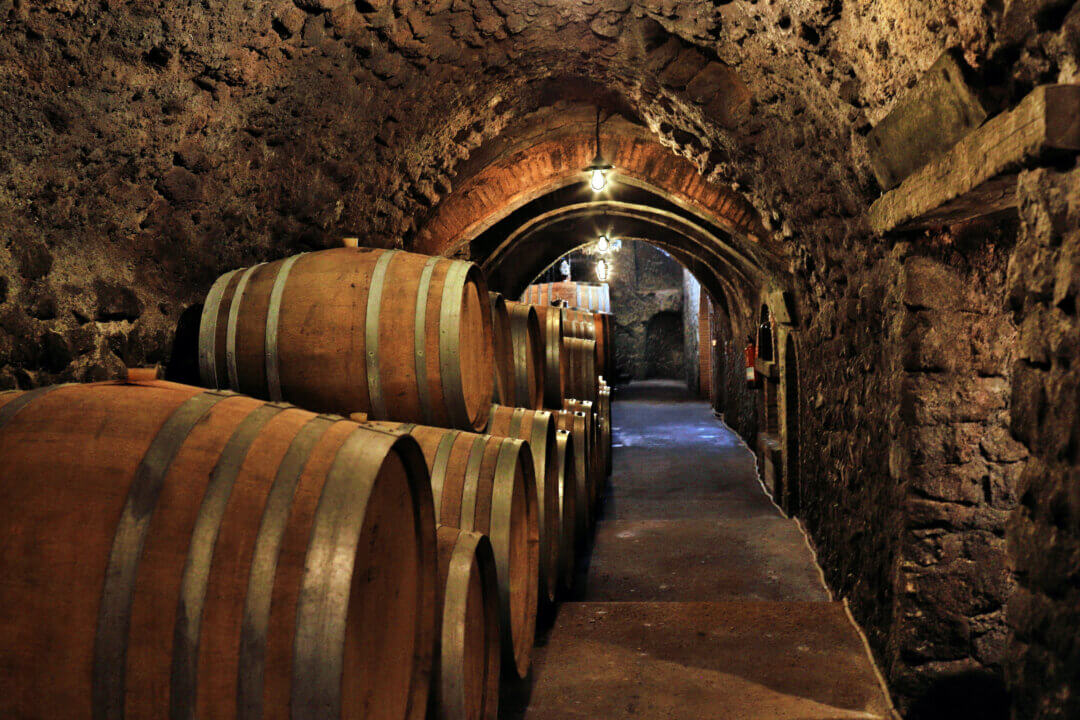Bodegas Frontonio
