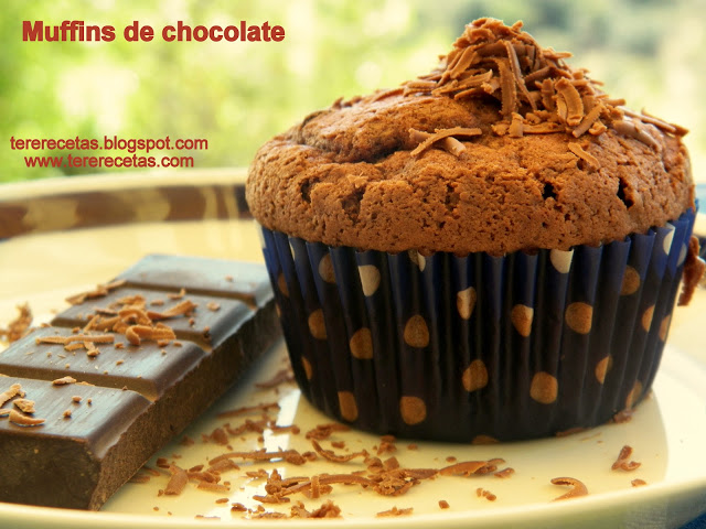 Muffins de chocolate Muffins de chocolate