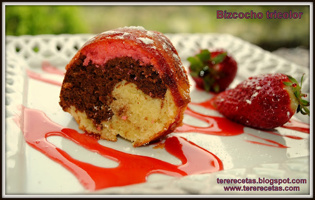 bizcocho tricolor 01