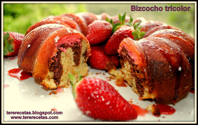 bizcocho tricolor 02