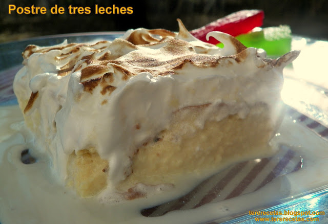 postre-de-tres-leches-04