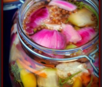 Encurtidos En Vinagre Caseros