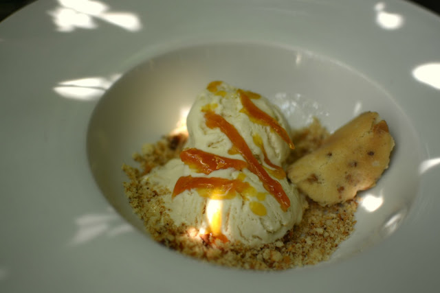 Helado de tres leches con sirope de confitura de naranja tererecetas las recetas de tere 05 Helado de tres leches con sirope de confitura de naranja tererecetas 05