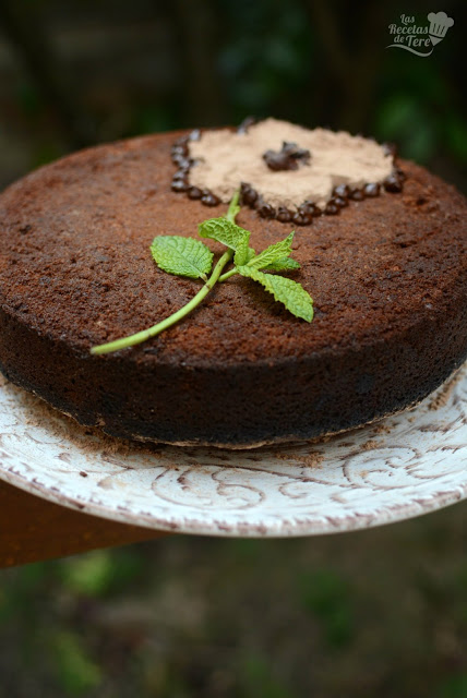 Bizcocho-de-Colacao-04