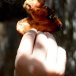 Alitas de pollo al estilo cajún