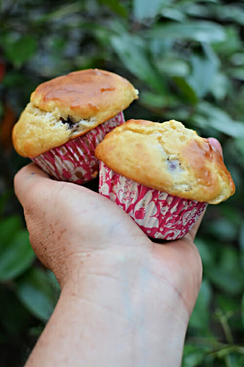 Muffins De Queso Gruyere Y Cerezas 10
