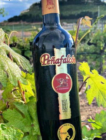 Peñafalcon 20 Meses 01