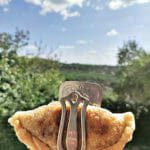 Empanadas Argentinas Criollas (1)