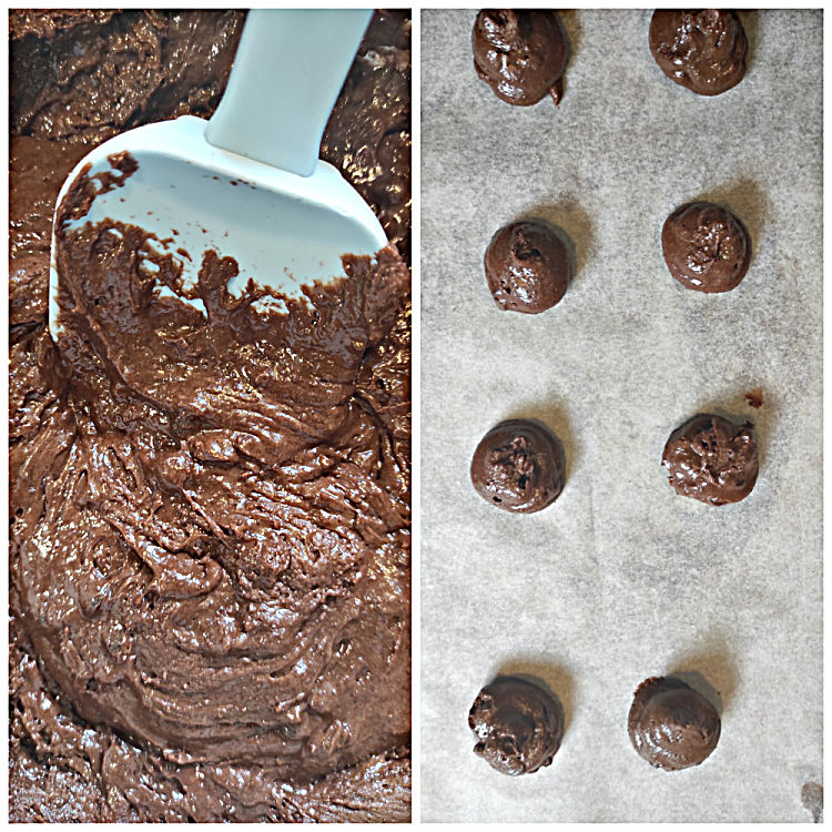 Galletas Brownie Collage 1
