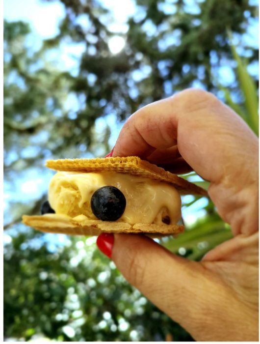 helado de vainilla mantecado thermomix