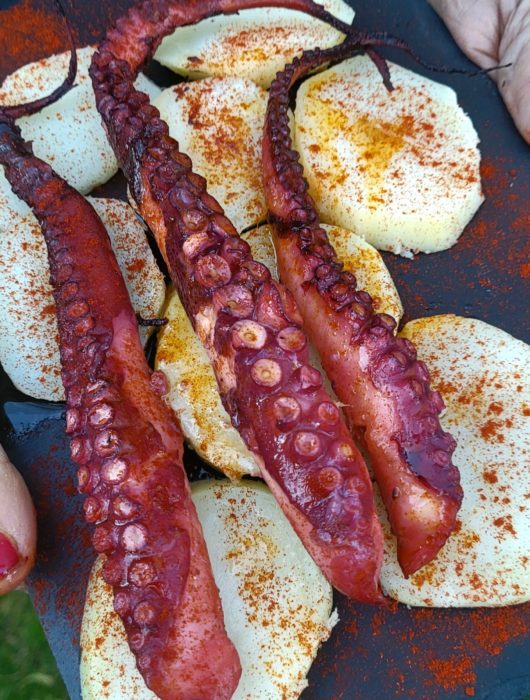 Pulpo a la gallega cocido y pasado por la plancha
