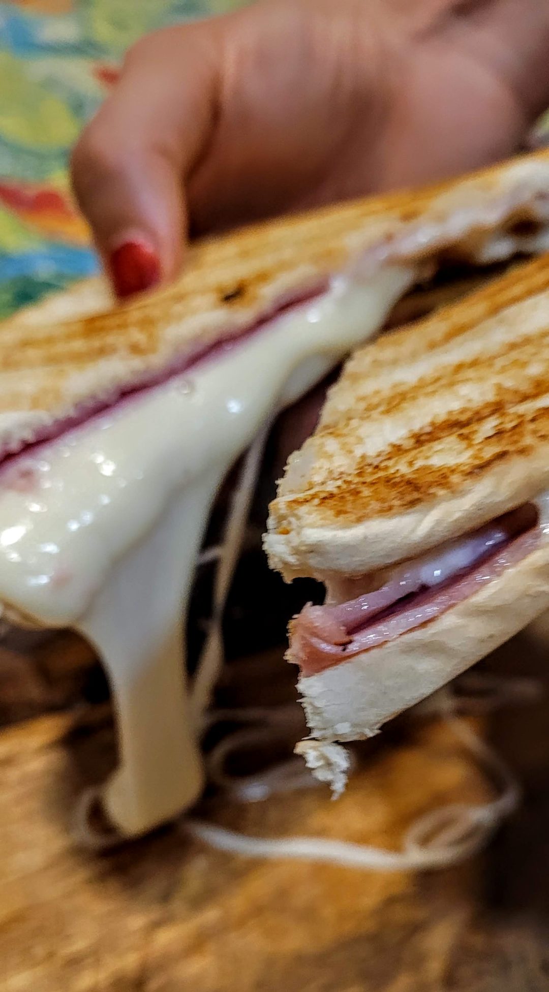 sándwich en sandwichera profesional