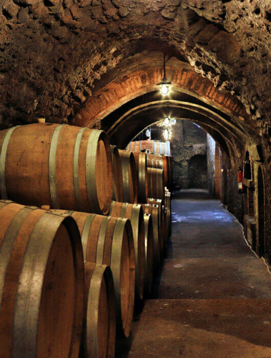 Bodegas Frontonio